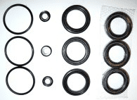 Dichtungssatz Pumpe (nur Manschetten)